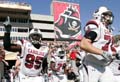 South Carolina Gamecocks Outback Bowl photo gallery
